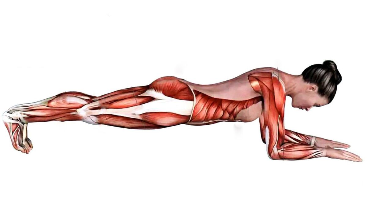 quels muscles travaillent quand on fait de la planche