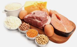 les Avantages d'une Alimentation sur les Protéines